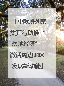 中欧班列密集开行助推“落地经济” 激活周边地区发展新动能