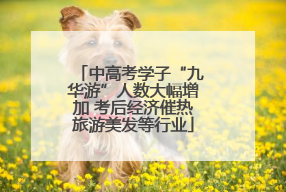 中高考学子“九华游”人数大幅增加 考后经济催热旅游美发等行业