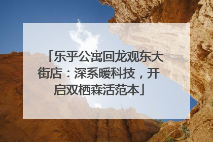 乐乎公寓回龙观东大街店：深系暖科技，开启双栖森活范本