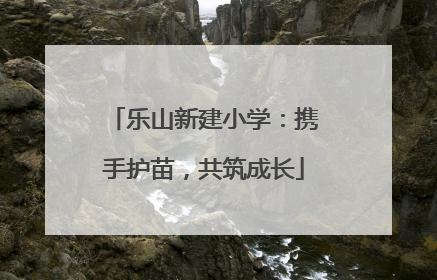 乐山新建小学：携手护苗，共筑成长