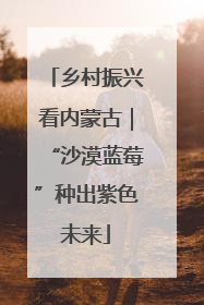 乡村振兴看内蒙古｜“沙漠蓝莓”种出紫色未来