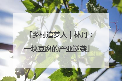 乡村追梦人｜林丹：一块豆腐的产业逆袭