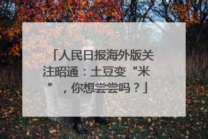 人民日报海外版关注昭通：土豆变“米”，你想尝尝吗？