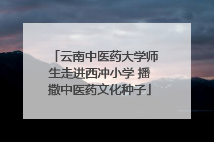 云南中医药大学师生走进西冲小学 播撒中医药文化种子