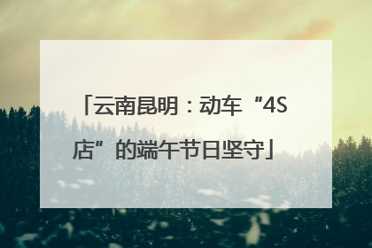 云南昆明：动车“4S店”的端午节日坚守