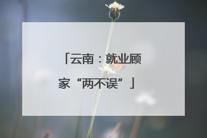 云南：就业顾家“两不误”