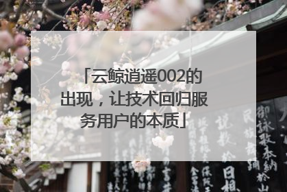 云鲸逍遥002的出现，让技术回归服务用户的本质