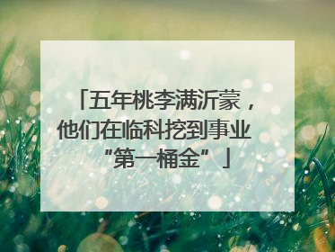 五年桃李满沂蒙，他们在临科挖到事业“第一桶金”