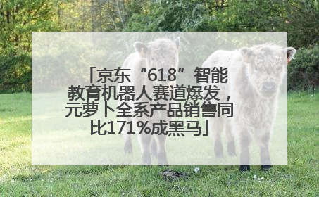 京东“618”智能教育机器人赛道爆发，元萝卜全系产品销售同比171%成黑马