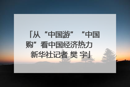 从“中国游”“中国购”看中国经济热力 新华社记者 樊 宇