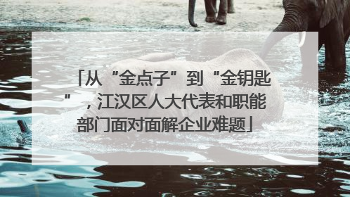 从“金点子”到“金钥匙”，江汉区人大代表和职能部门面对面解企业难题