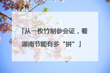 从一枚竹制参会证，看湖南节能有多“拼”