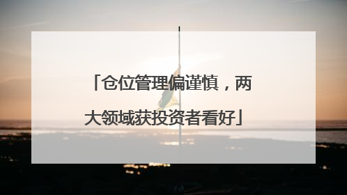 仓位管理偏谨慎，两大领域获投资者看好
