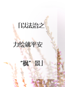 以法治之力绘就平安“枫”景