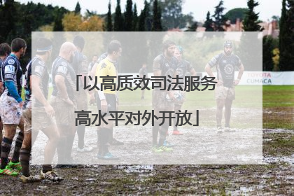 以高质效司法服务高水平对外开放
