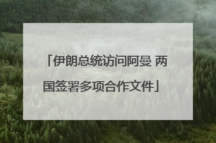 伊朗总统访问阿曼 两国签署多项合作文件