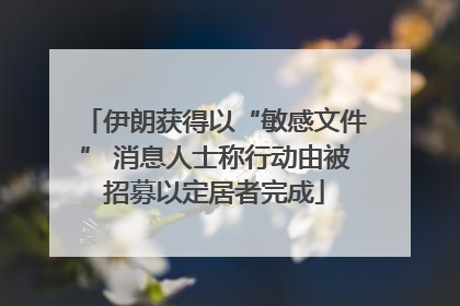 伊朗获得以“敏感文件” 消息人士称行动由被招募以定居者完成