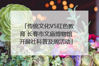 传统文化VS红色教育 长春市文庙博物馆开展社科普及周活动