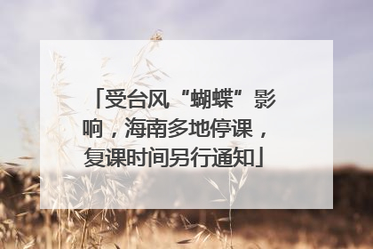 受台风“蝴蝶”影响，海南多地停课，复课时间另行通知