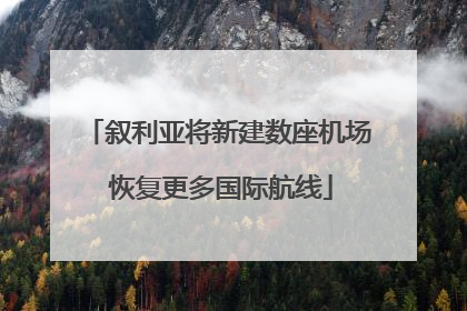 叙利亚将新建数座机场 恢复更多国际航线