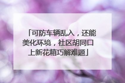 可防车辆乱入，还能美化环境，社区胡同口上新花箱巧解难题