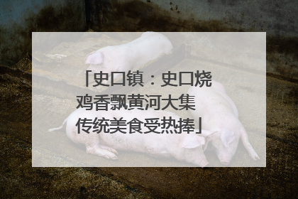 史口镇：史口烧鸡香飘黄河大集 传统美食受热捧