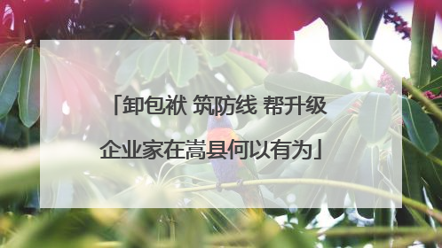 卸包袱 筑防线 帮升级 企业家在嵩县何以有为