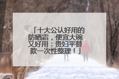 十大公认好用的防晒霜，便宜大碗又好用：贵妇平替款一次性整理！