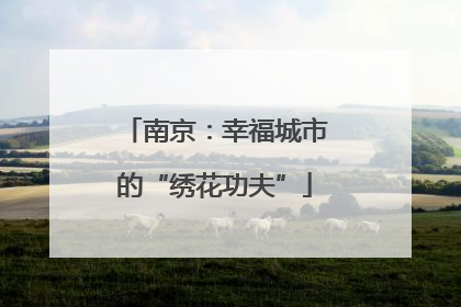南京：幸福城市的“绣花功夫”