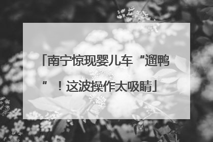 南宁惊现婴儿车“遛鸭”！这波操作太吸睛