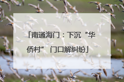 南通海门：下沉“华侨村” 门口解纠纷
