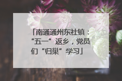 南通通州东社镇：“五一”返乡，党员们“归巢”学习