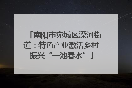 南阳市宛城区溧河街道：特色产业激活乡村振兴“一池春水”