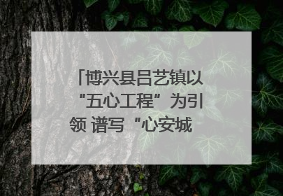 博兴县吕艺镇以“五心工程”为引领 谱写“心安城市”建设新篇章