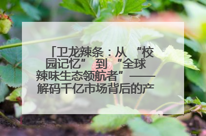 卫龙辣条：从 “校园记忆” 到 “全球辣味生态领航者”——解码千亿市场背后的产品创新与全链路破圈