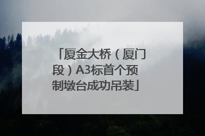 厦金大桥（厦门段）A3标首个预制墩台成功吊装