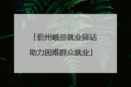 儋州峨蔓就业驿站助力困难群众就业