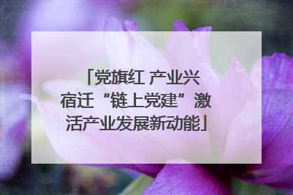 党旗红 产业兴 宿迁“链上党建”激活产业发展新动能