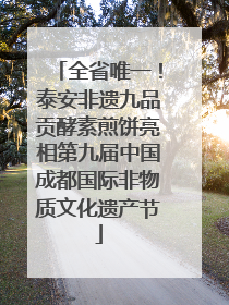 全省唯一！泰安非遗九品贡酵素煎饼亮相第九届中国成都国际非物质文化遗产节