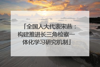 全国人大代表宋燕：构建推进长三角检察一体化学习研究机制