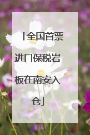 全国首票进口保税岩板在南安入仓