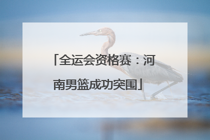 全运会资格赛：河南男篮成功突围