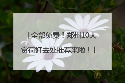 全部免费！郑州10大赏荷好去处推荐来啦！