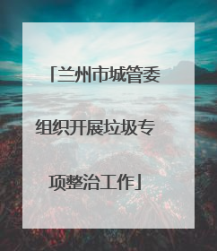 兰州市城管委组织开展垃圾专项整治工作