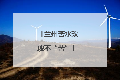 兰州苦水玫瑰不“苦”