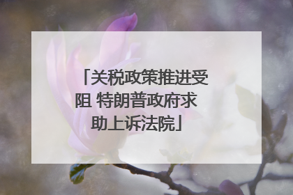 关税政策推进受阻 特朗普政府求助上诉法院