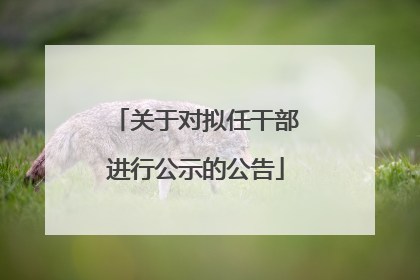 关于对拟任干部进行公示的公告
