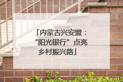 内蒙古兴安盟：“阳光银行”点亮乡村振兴路