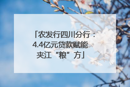 农发行四川分行：4.4亿元贷款赋能夹江“粮”方