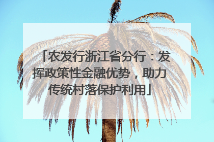 农发行浙江省分行：发挥政策性金融优势，助力传统村落保护利用